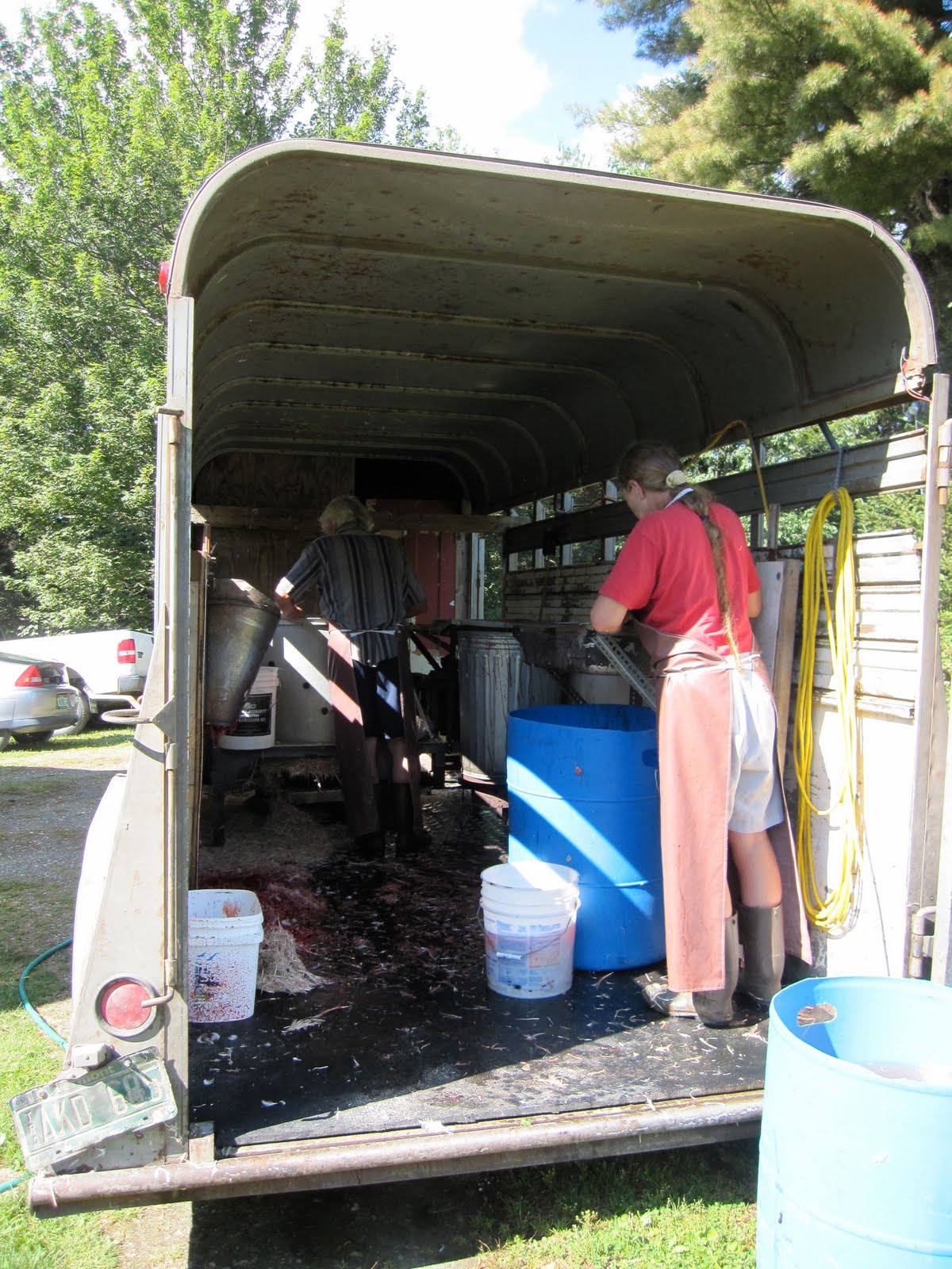 Yurtville Chicken Slaughter