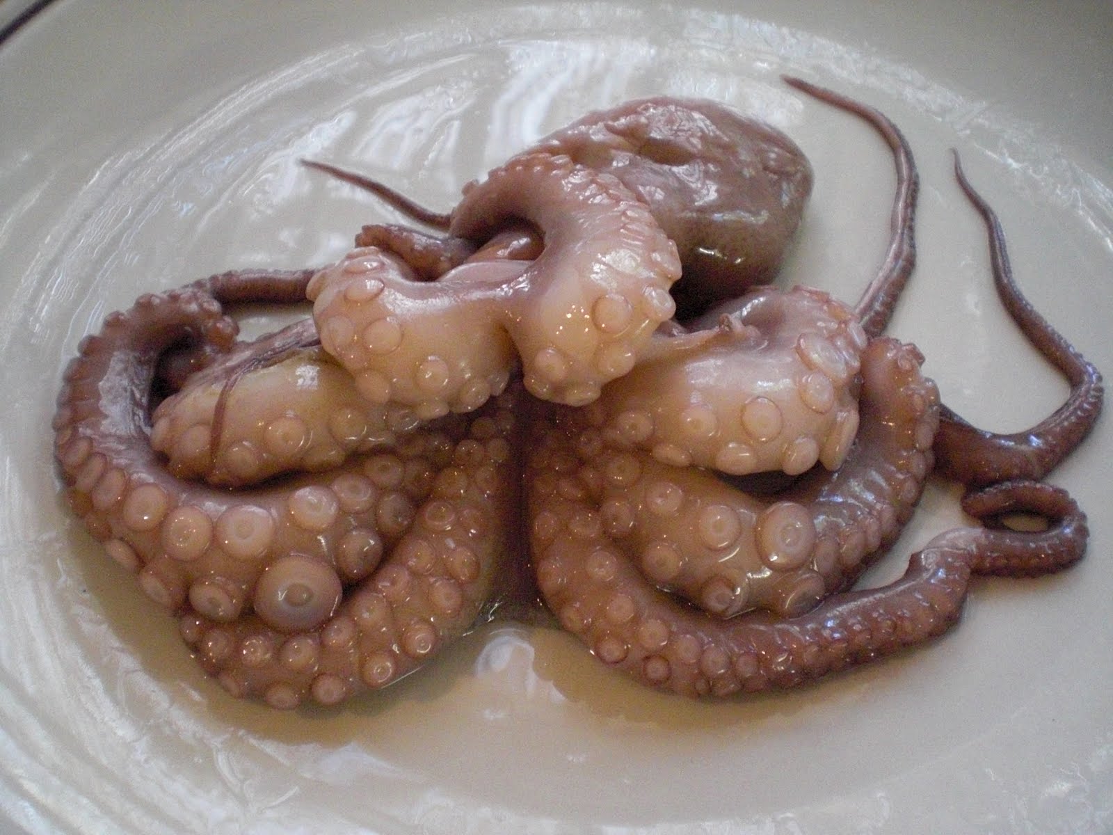 edible octopus