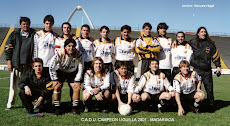 Campeón 2001