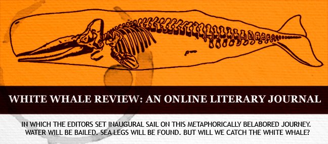 White Whale Review Blog