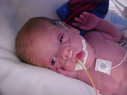 Braden