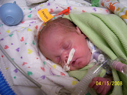 Braden
