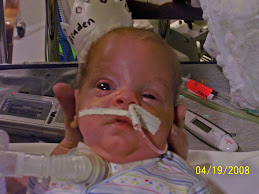 Braden