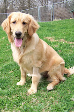 Our Dog