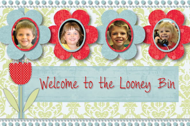 Welcome to the Looney Bin