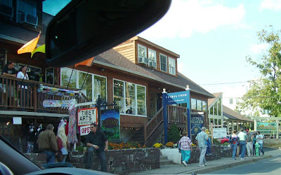 These are some of the neat, but weird shops on main street