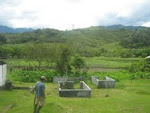 Aires de Viñedos por el Huila