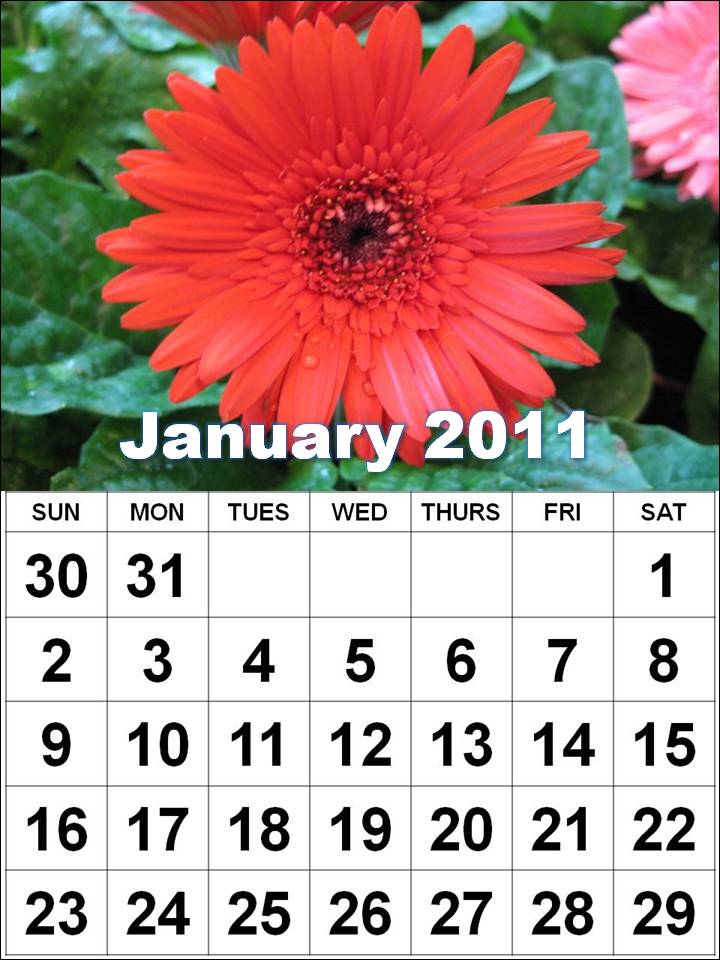 2011 Calendar January February february calendars. 2011 Calendar January February