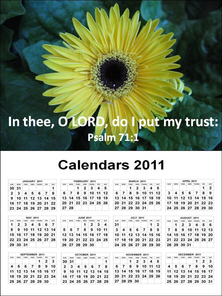 2011 Calendar from January quotes for january