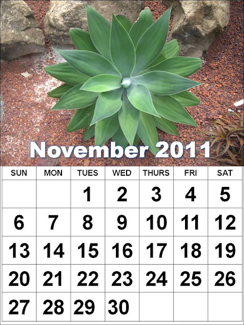 november calendar thanksgiving