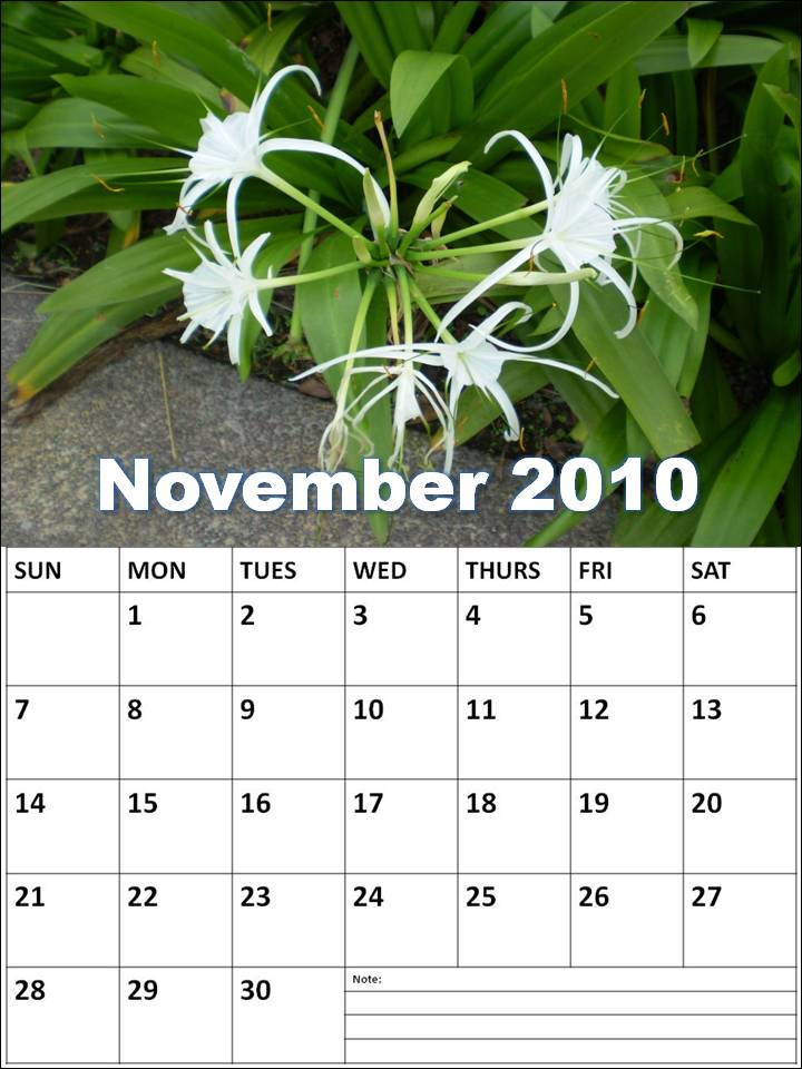 2010 november calendar. 2010 november calendar.
