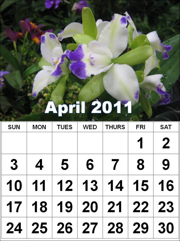 2011 calendar march and april. Calendar+2011+march+april