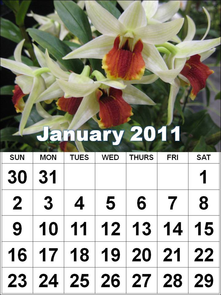 yearly calendar 2011. yearly calendar 2011