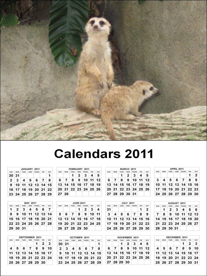 calendar 2011 printable june. Infree printable june photo