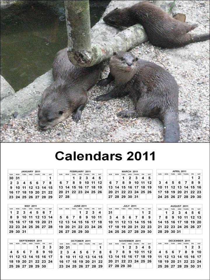 may 2011 calendar uk. may 2011 calendar canada.