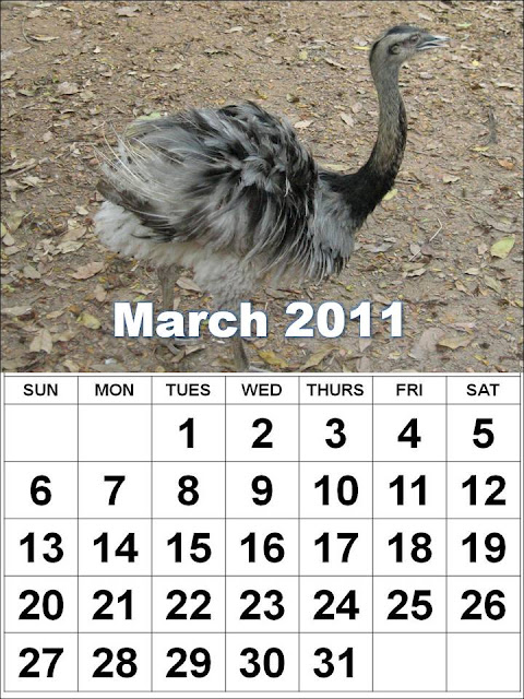 monthly calendar march monthly calendar march. monthly calendar march