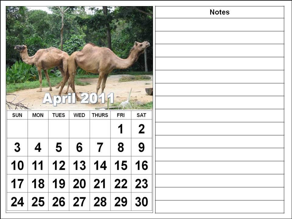 2011 calendar april may june. 2011 calendar april may june.