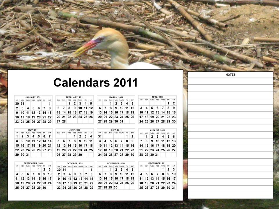 january to december 2011 calendar. jan to dec 2011 / calendar