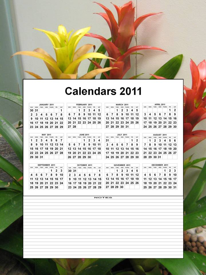 january to december 2011 calendar. jan to dec 2011 / calendar