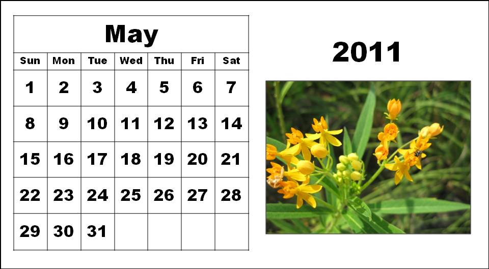 printables calendar 2011. Printable Calendar 2011: may