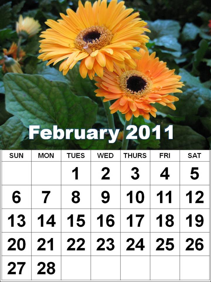 printable weekly calendar 2011. 2011 WEEKLY CALENDAR PRINTABLE