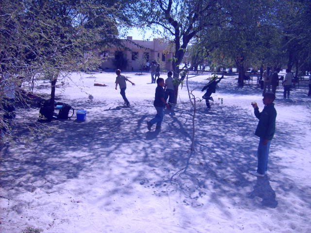 [SD530787.JPG]
