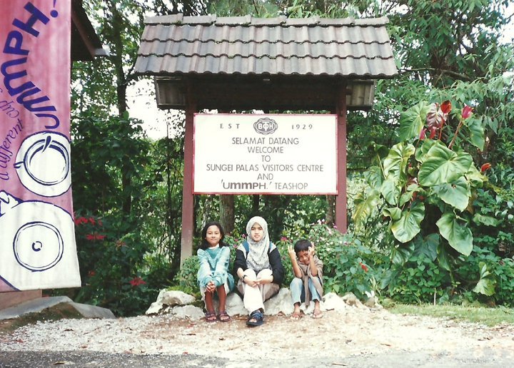 Syafie Naswip Anakin Zaman Kanak Kanak Ku