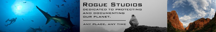 Rogue Studios