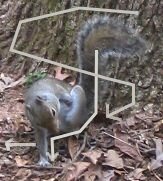 [IMG_2855-1_spath.JPG]