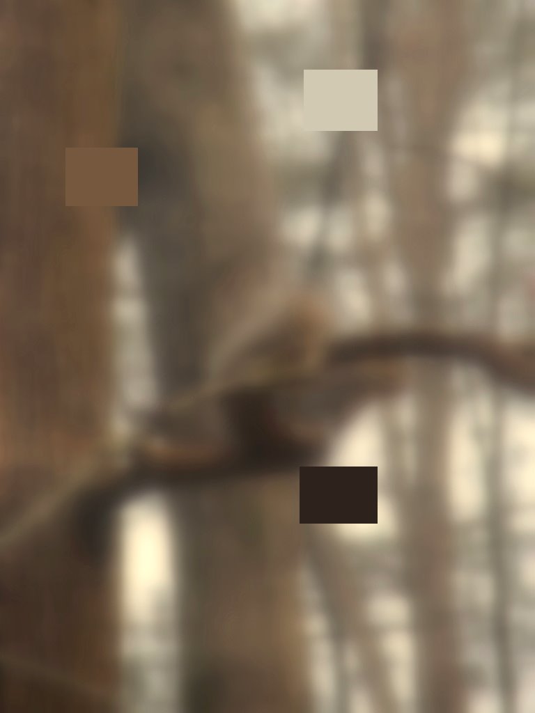 [tree_and_squirrel_samples.jpg]
