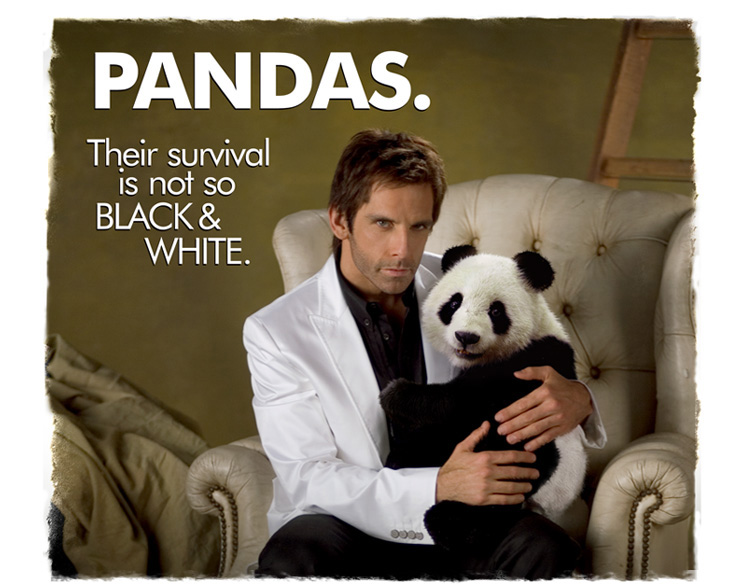 [panda_ad.jpg]