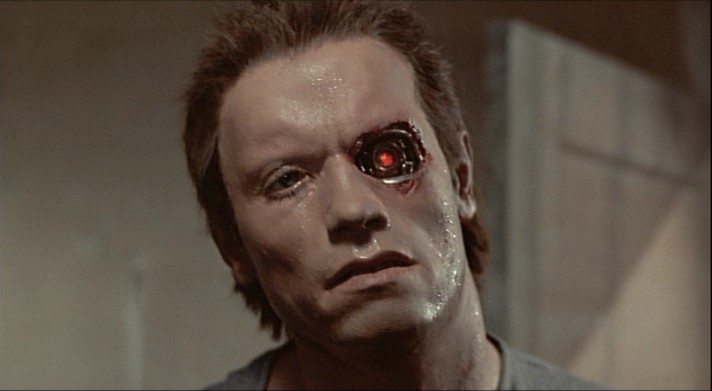 [terminator.jpg]