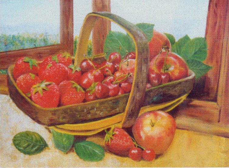[11+fruits.jpg]