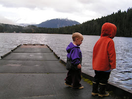 Dock and Glaciar