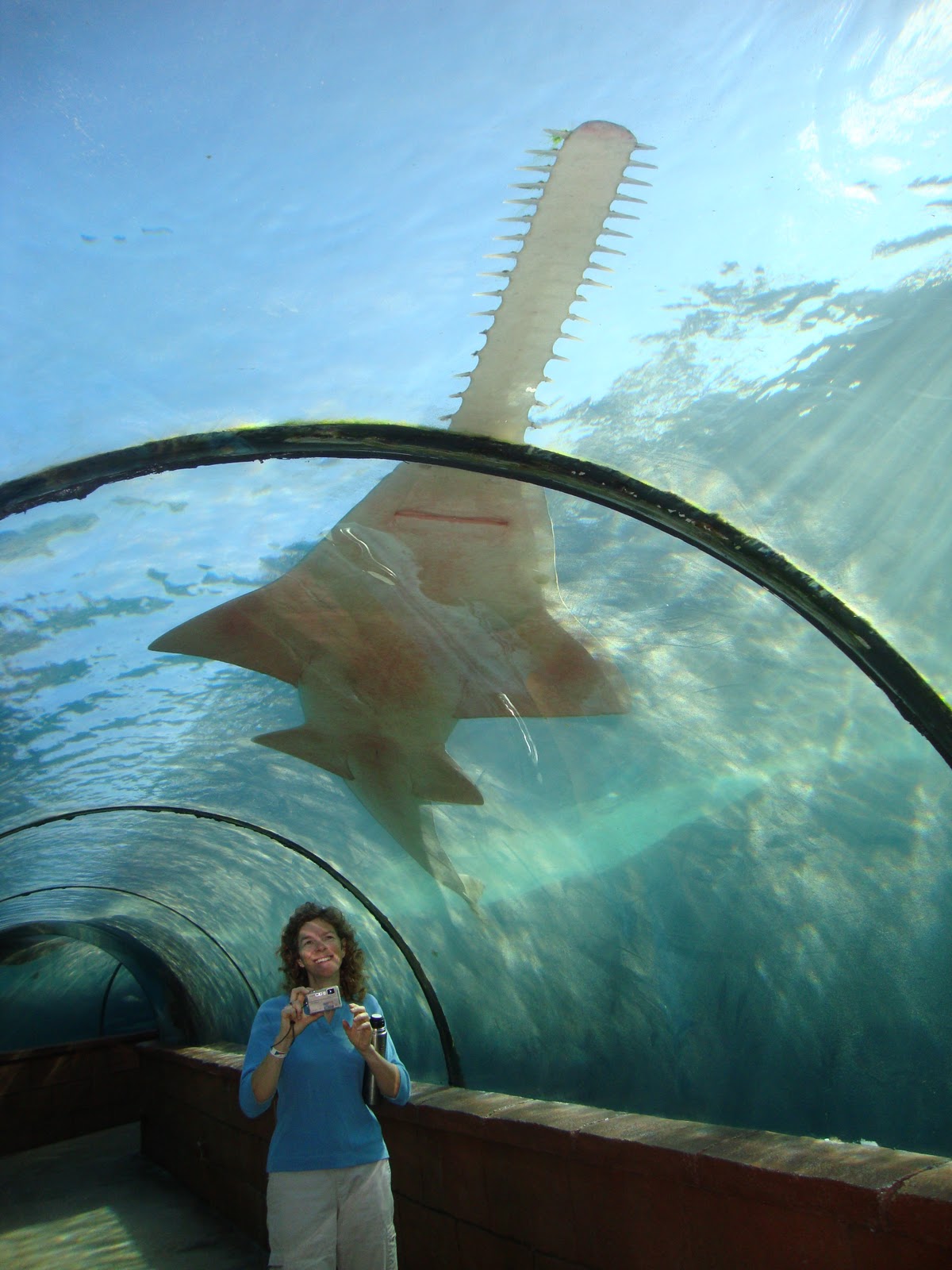 Sheet Music♫ Nassau, Bahamas!