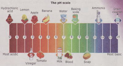 Ph Scale Science