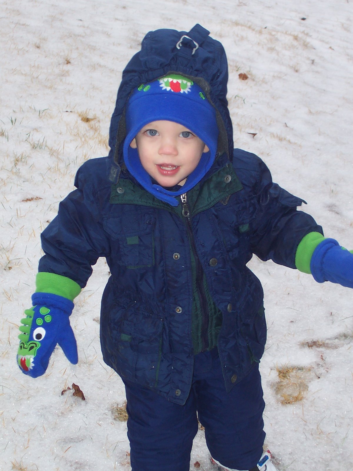 [20080117-1646.JPG]