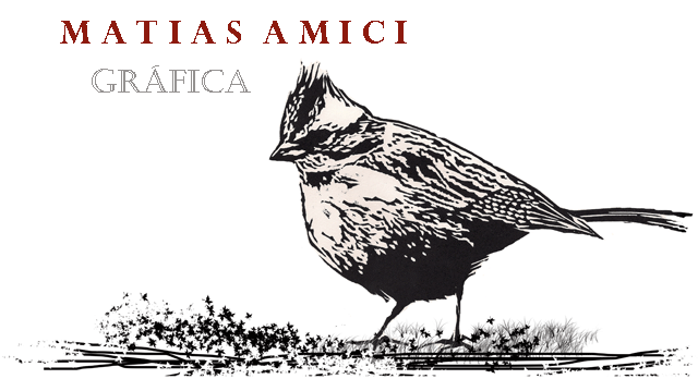 MATIAS AMICI