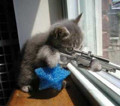 secret agent cat