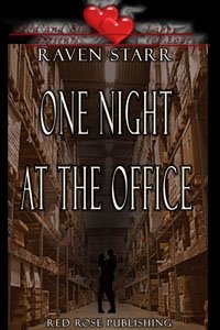 [one+nightcover.JPG]