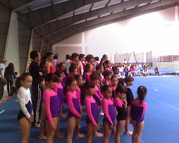 Delegación de nuestro gimnasio para la Competencia de trampolinismo