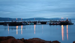 Digby At Night