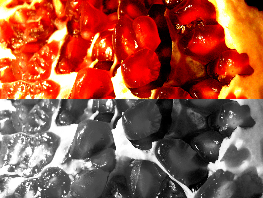 [lamagiadelafruta.jpg]