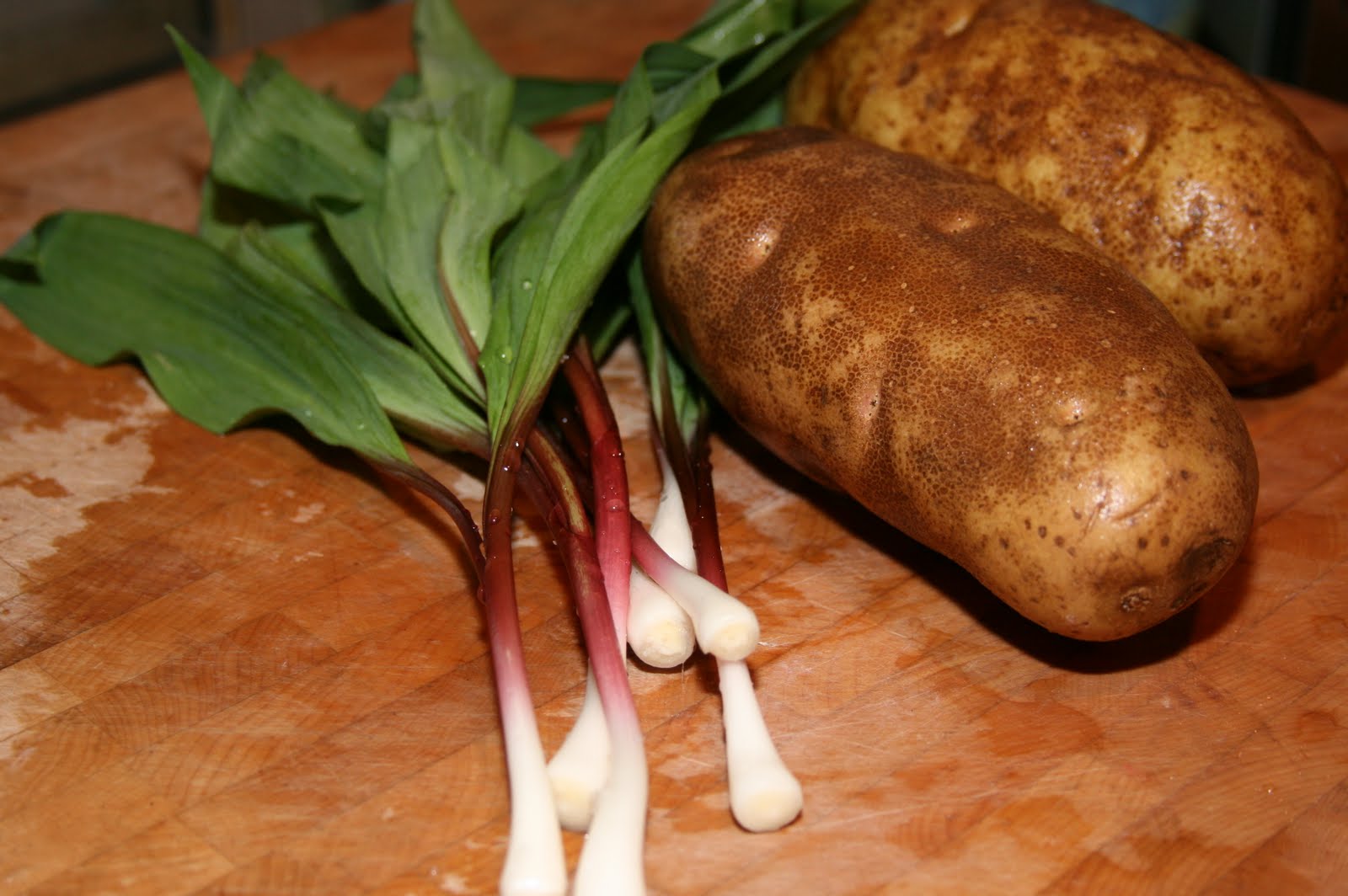 SOUP OF THE DAY MASCARPONE MASHED POTATOES FLAVORED WITH FRESH RAMPS