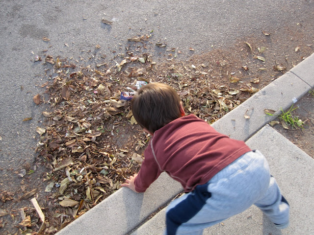 playing with leaves