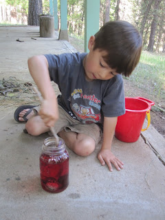 Fairy Potions