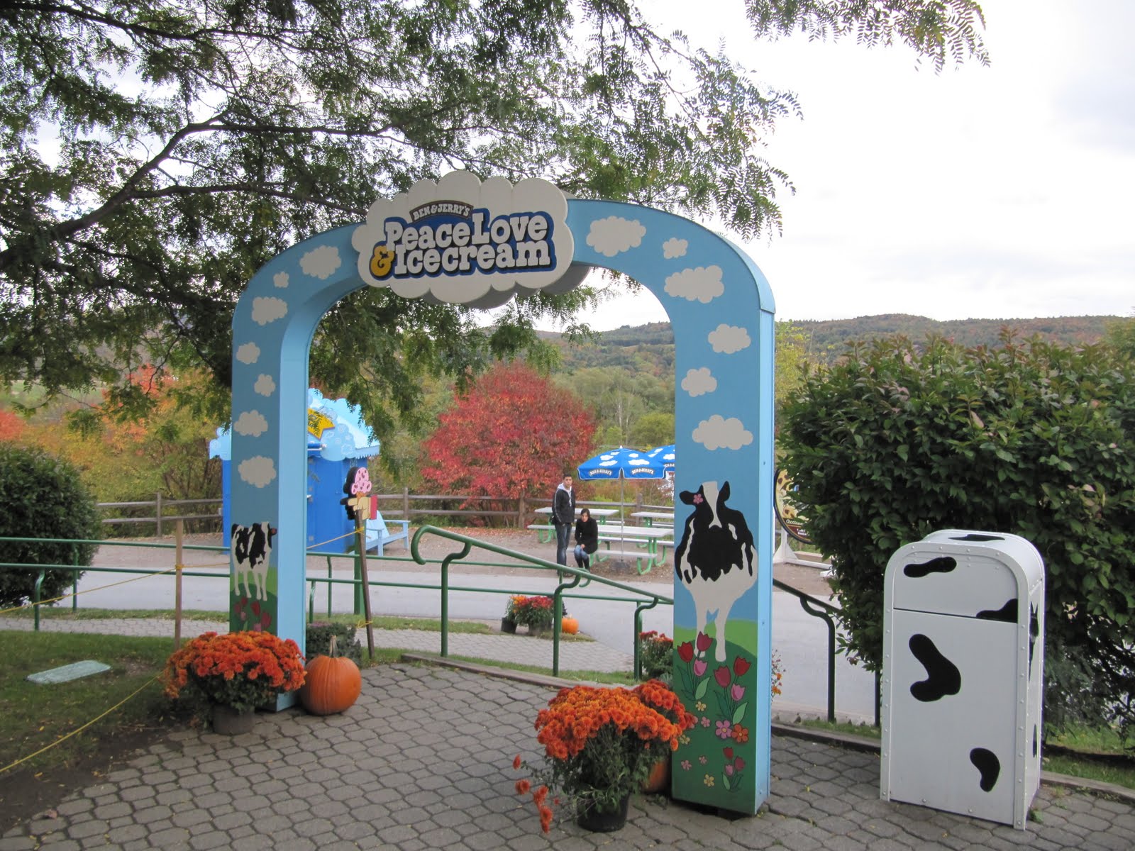 [IMG_5722.JPG]