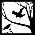 [crows.jpeg]