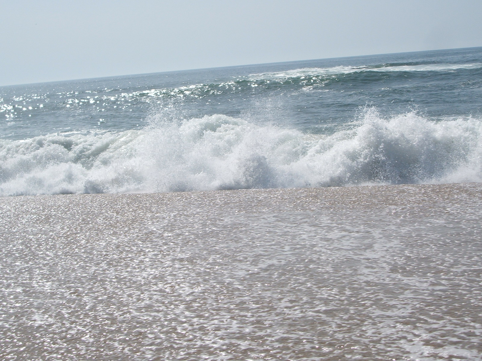 [DSCF4806.JPG]