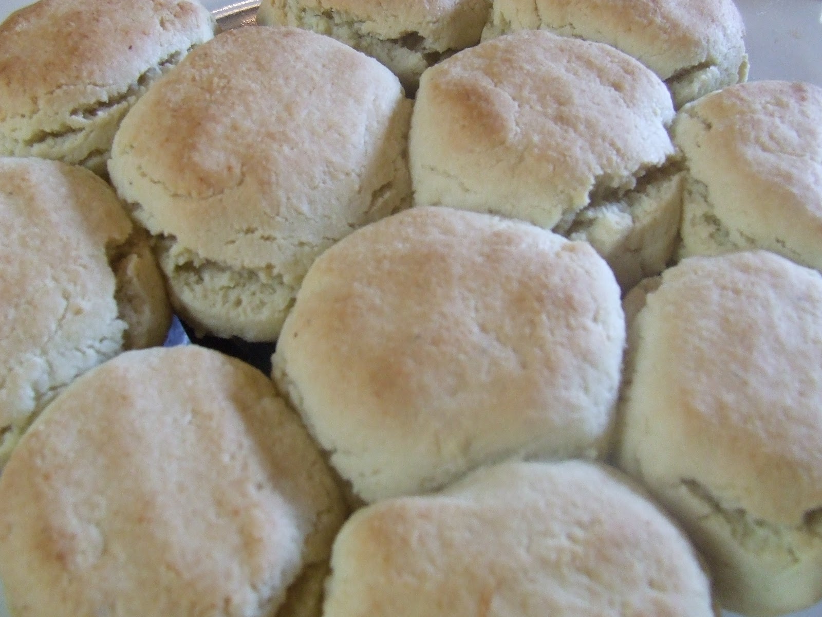 Buttermilk Biscuits {Grain Free, Dairy Free, Paleo} Cassidy's